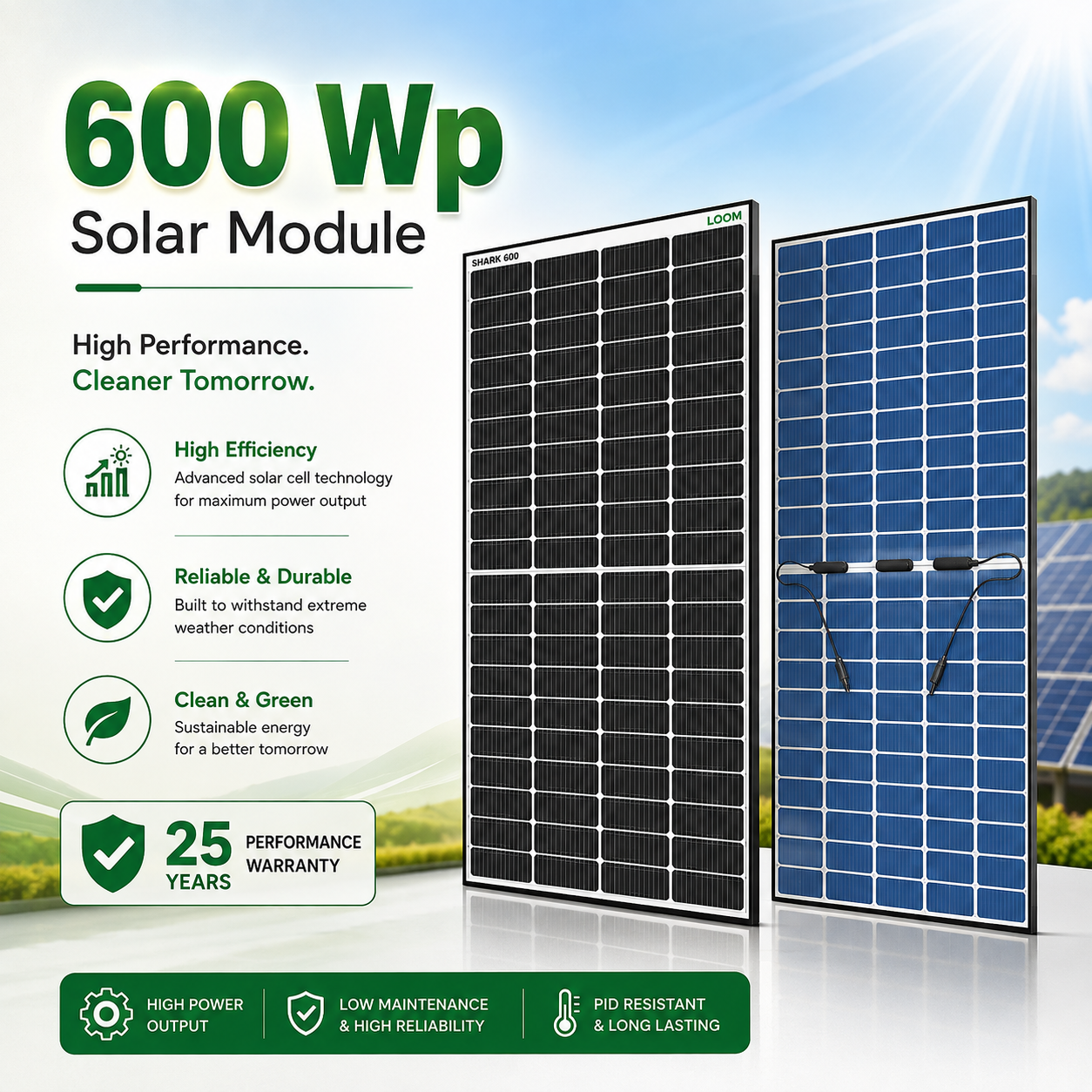 Loom Solar SHARK 600Wp TOPCon Bifacial Panels — Pack of 2