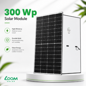 Loom Solar 300Wp 12V Solar Panels — Pack of 2