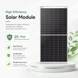 Loom Solar SHARK 650Wp Back Contact Panels — Pack of 36